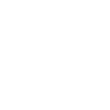 Meat Raised Without Antibiotics Icon